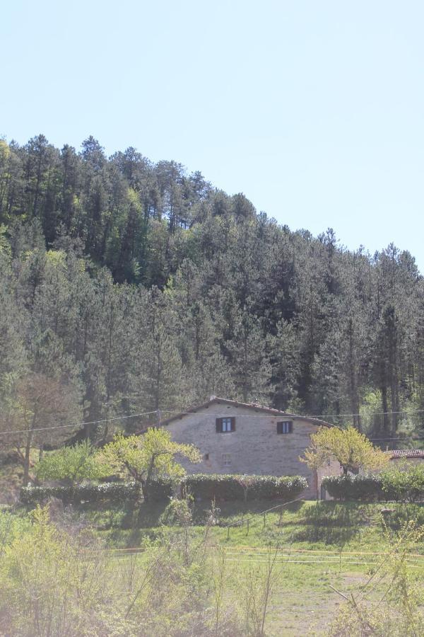 B&B Paradiso 古比奥 外观 照片